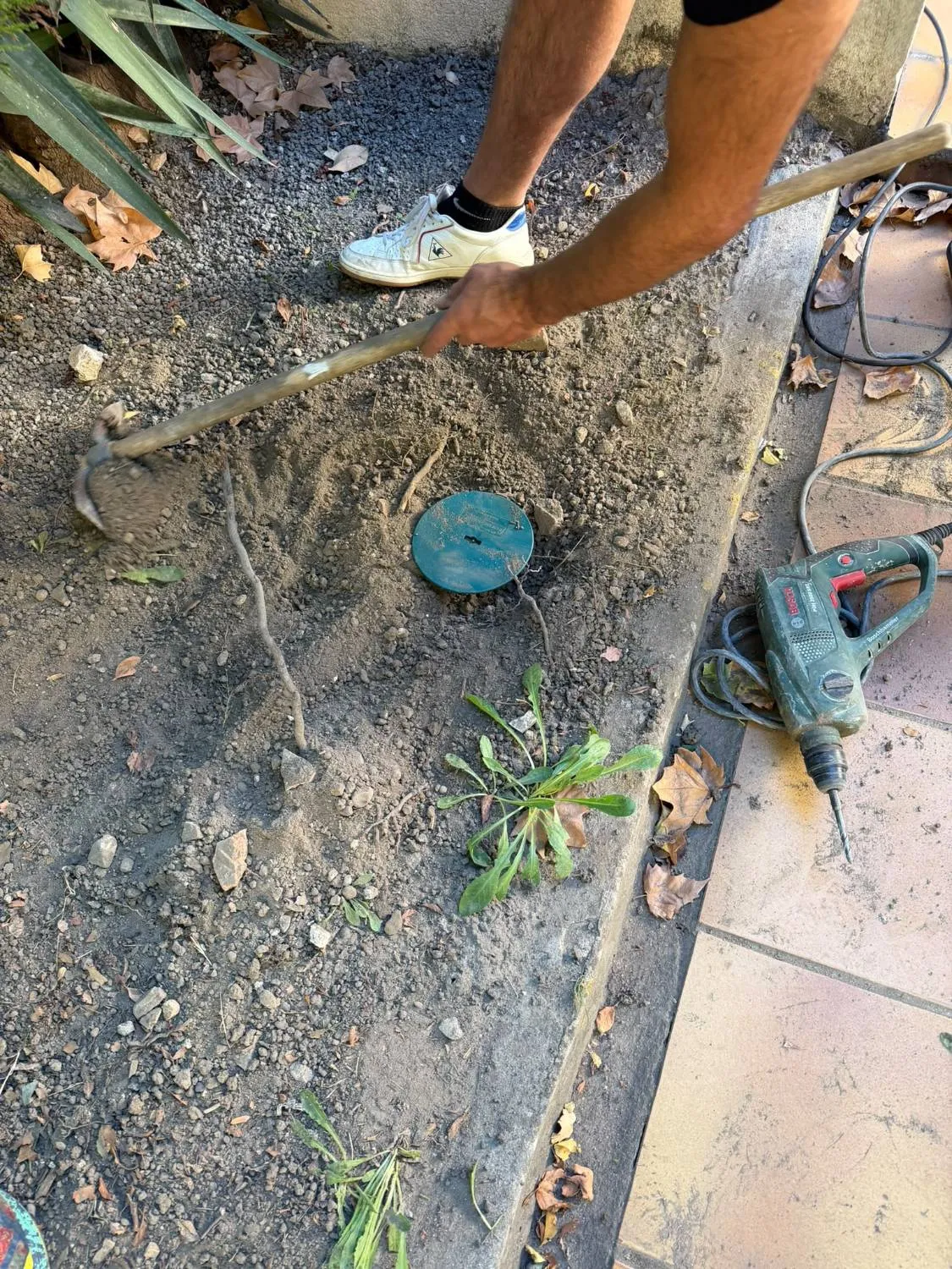 Pascal Sergent posant une station d’appâtage enterrée, couvercle vert au ras du sol, dans un massif le long d’une maison
