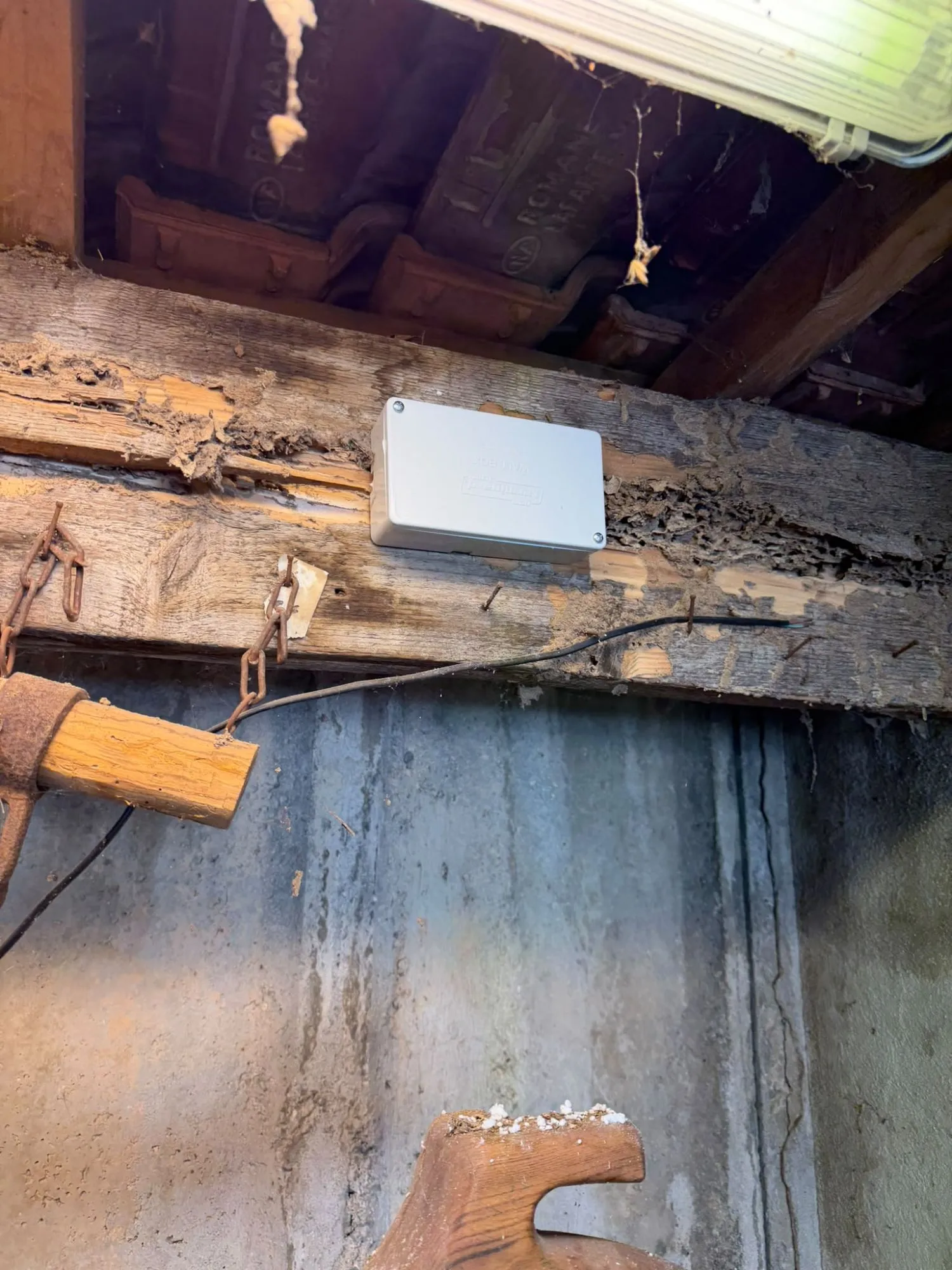 Boîtier gris de station d’appâtage aérienne vissé sur une poutre attaquée par les termites